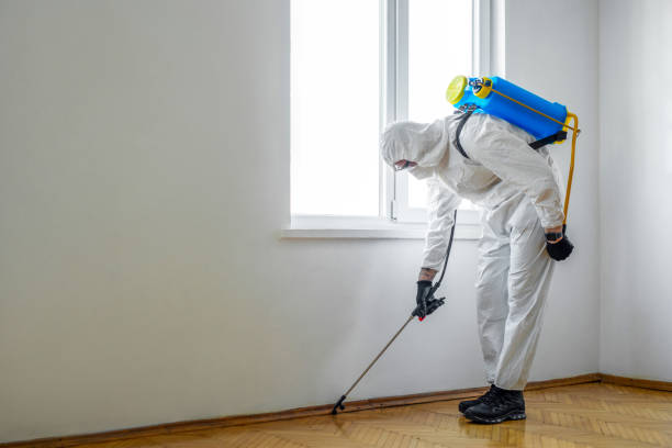 Professional Pest control in Henderson, LA